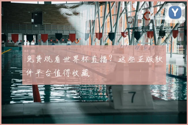 免费观看世界杯直播？这些正版软件平台值得收藏