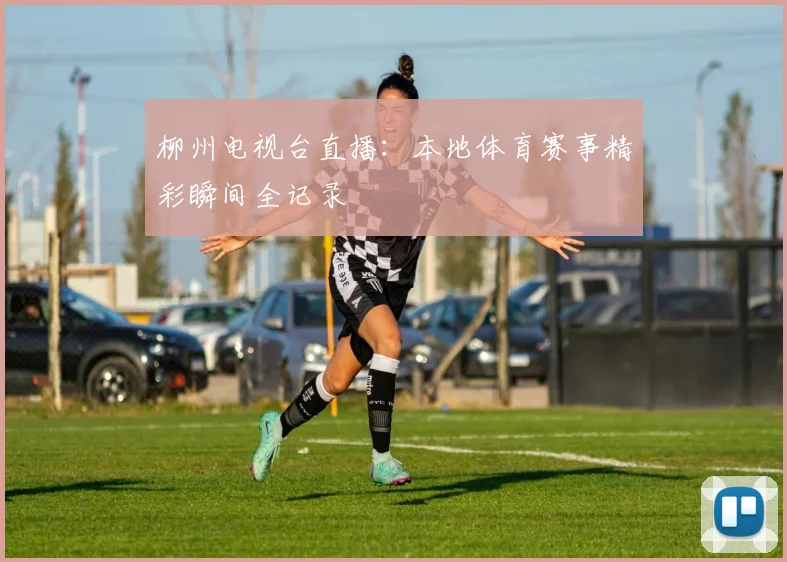 柳州电视台直播：本地体育赛事精彩瞬间全记录