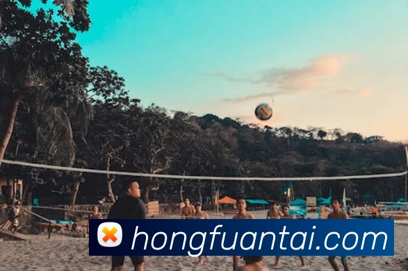 App Interface Preview